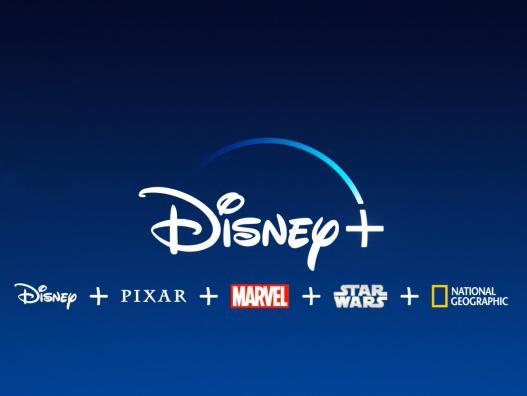 Disney+ Up to 6 months