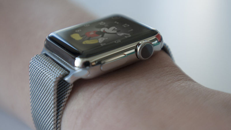 How to wipe online an apple watch clean