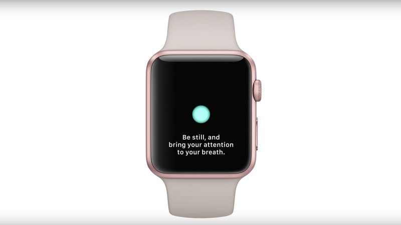 Apple Watch Mindfulness app Breathe Reminders not working? - MyHealthyApple