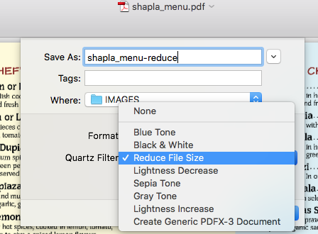 edit pdf safari