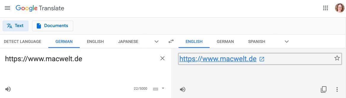 Google Translate whole website