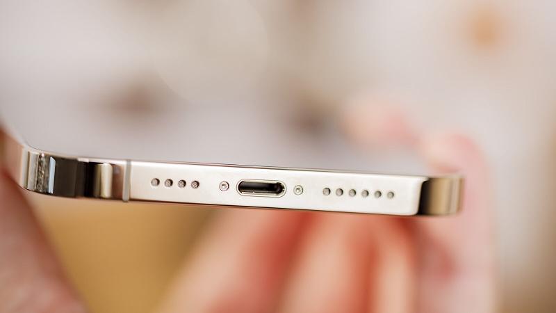 iPhone 12 Pro Max Lightning port