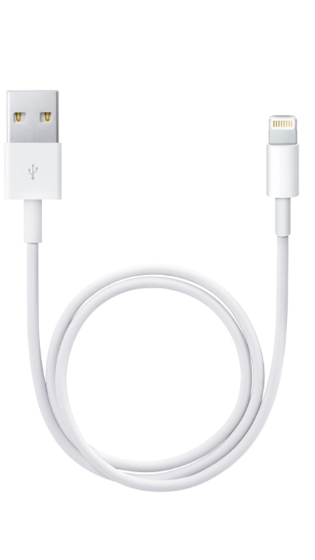 Should you leave your iPhone plugged in?