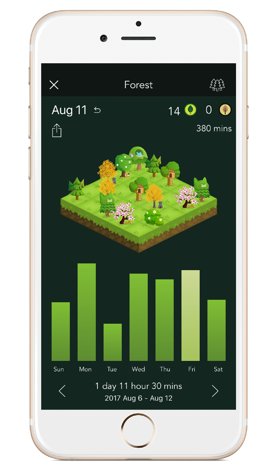 Forest